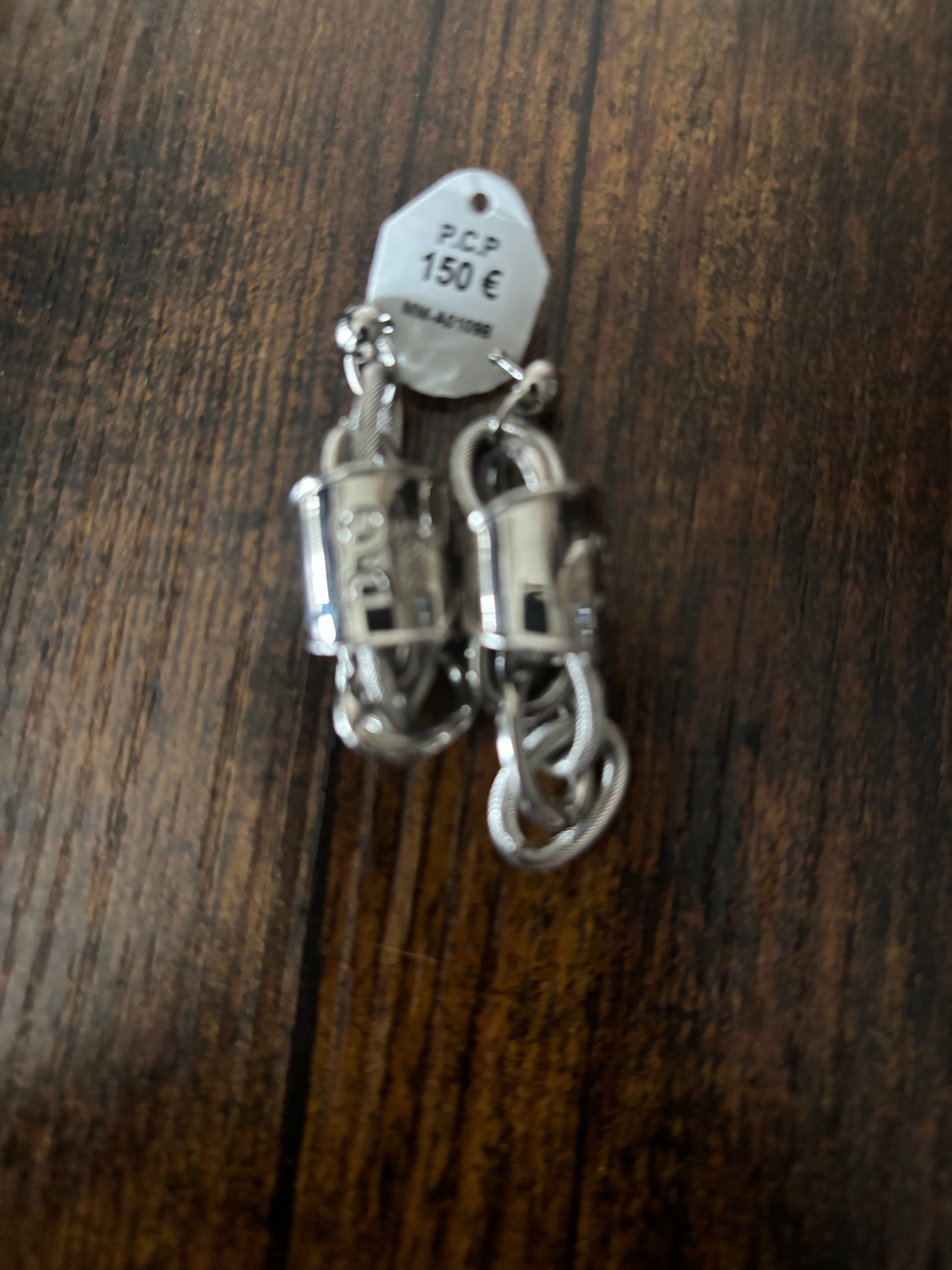 DG originele damesoorbellen 100% zilver Aimecolletie